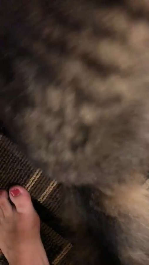 Camren Bicondova Feet