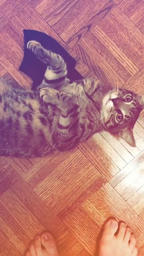 Camren Bicondova Feet