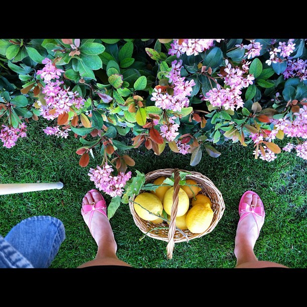 Taylor Ann Trad Feet