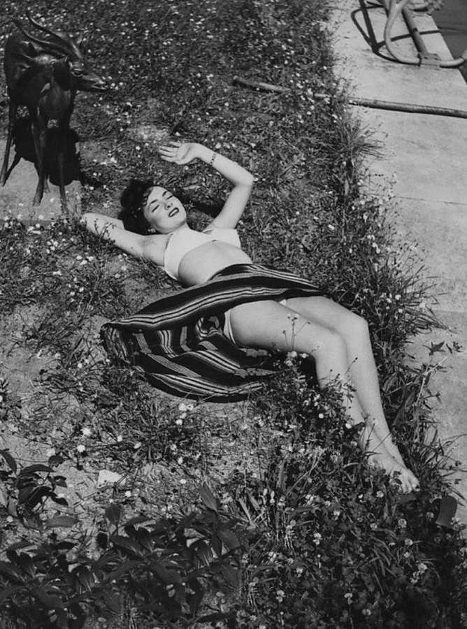 Gina Lollobrigida Feet