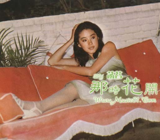 Brigitte Lin Feet