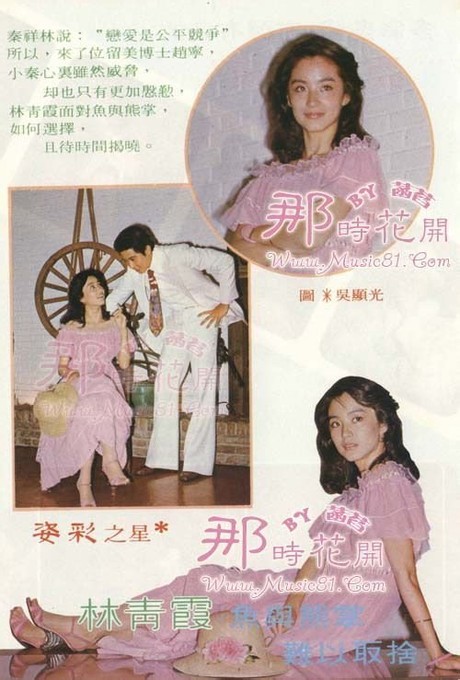 Brigitte Lin Feet