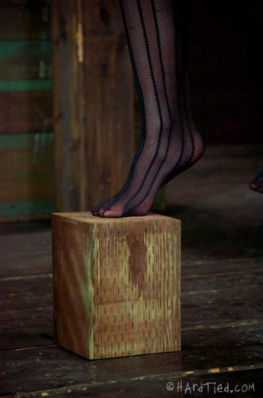 Elise Graves Feet