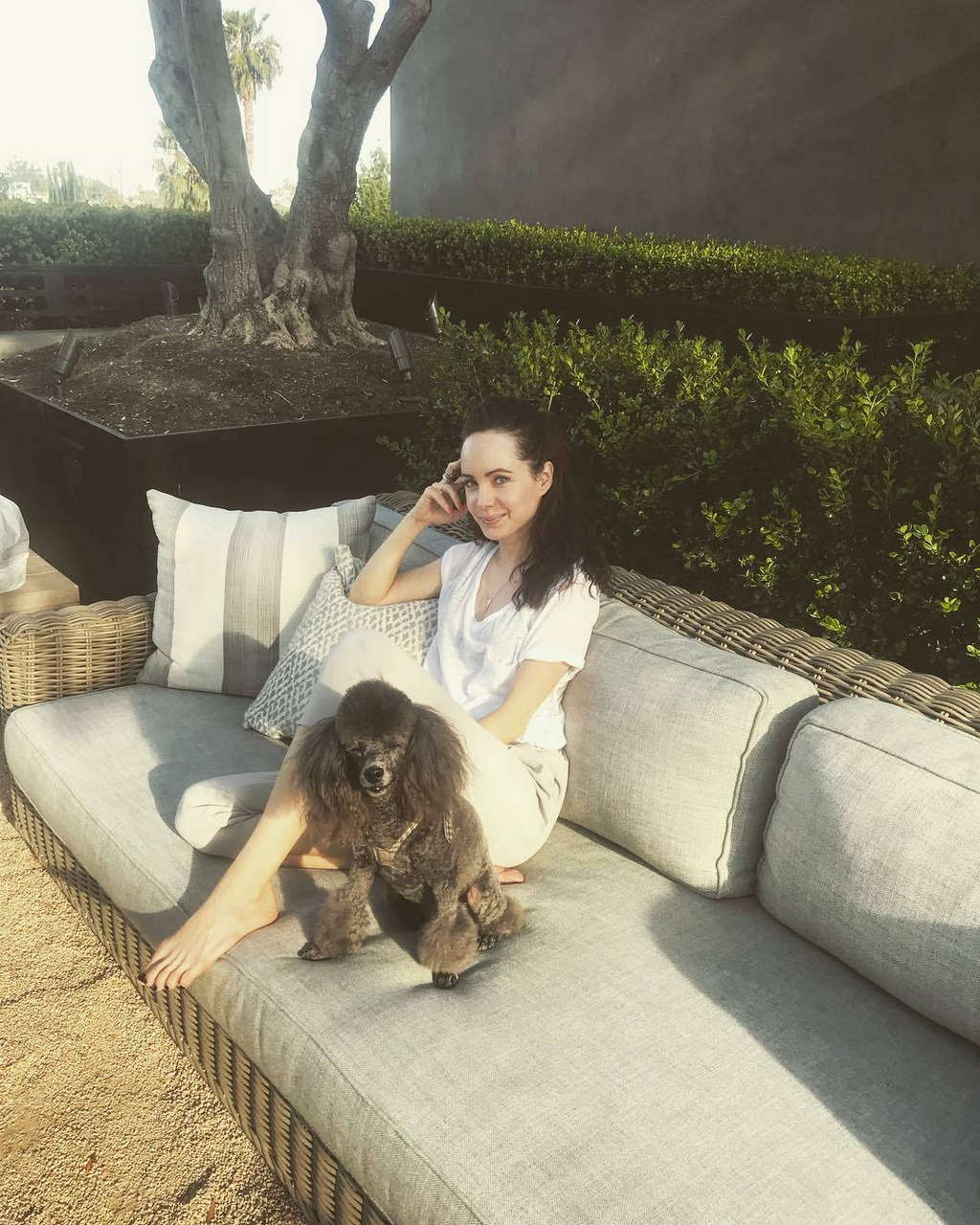 Ksenia Solo Fee