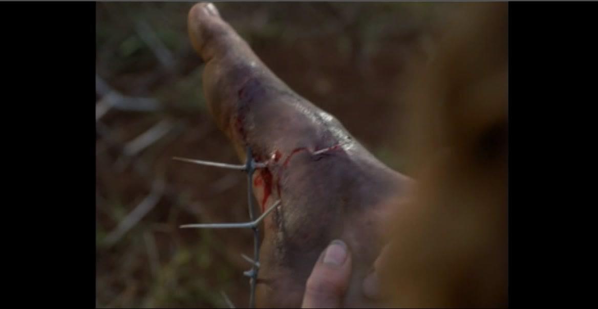 Dorette Potgieter Feet