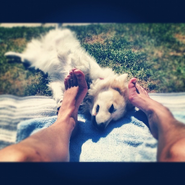 Monika Horvathova Feet