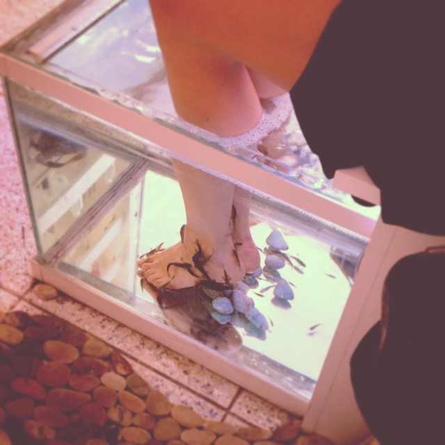 Lisette Van Den Brand Feet