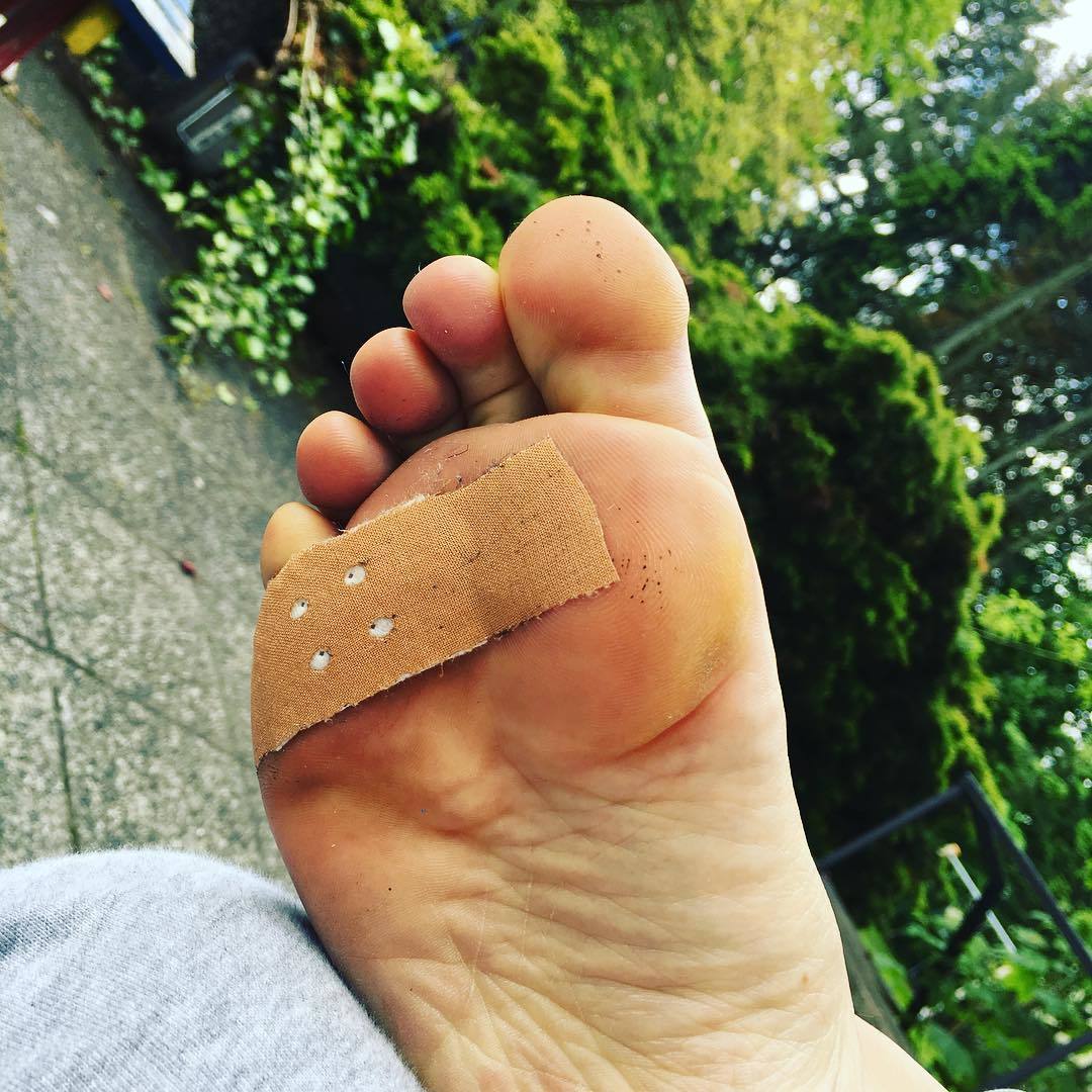 Jasmin Tabatabai Feet