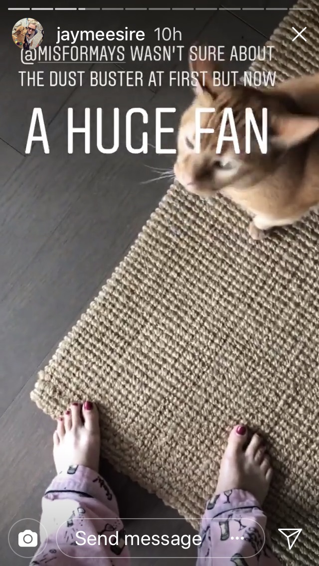 Jaymee Sire Feet