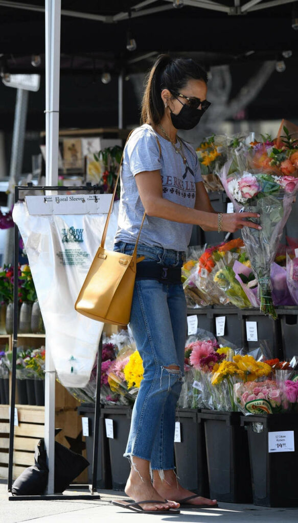 Jordana Brewster Feet (5 photos)