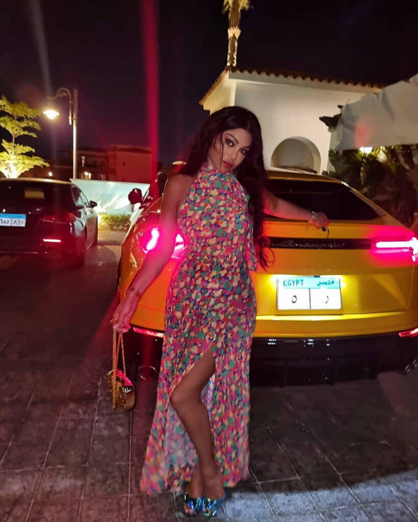 Haifa Wehbe Feet (3 photos)