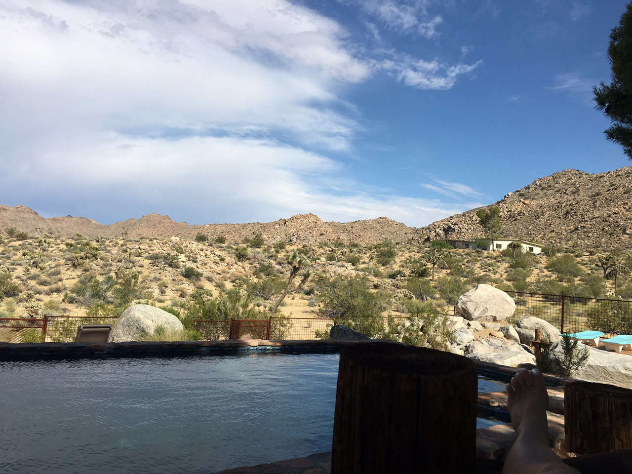 Bridget Phetasy Feet