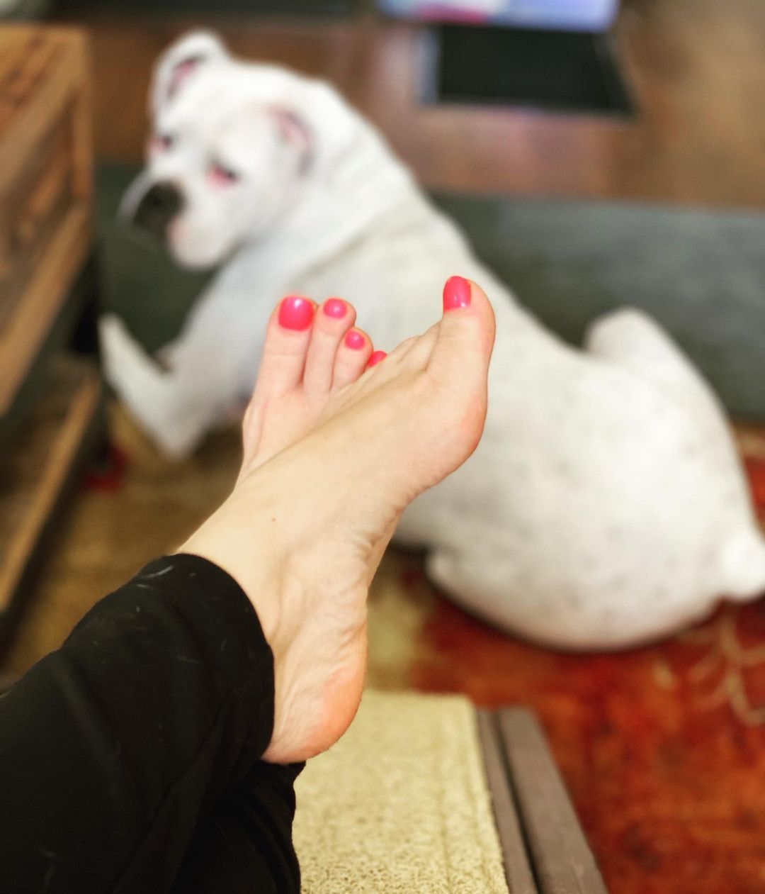 Bridget Phetasy Feet