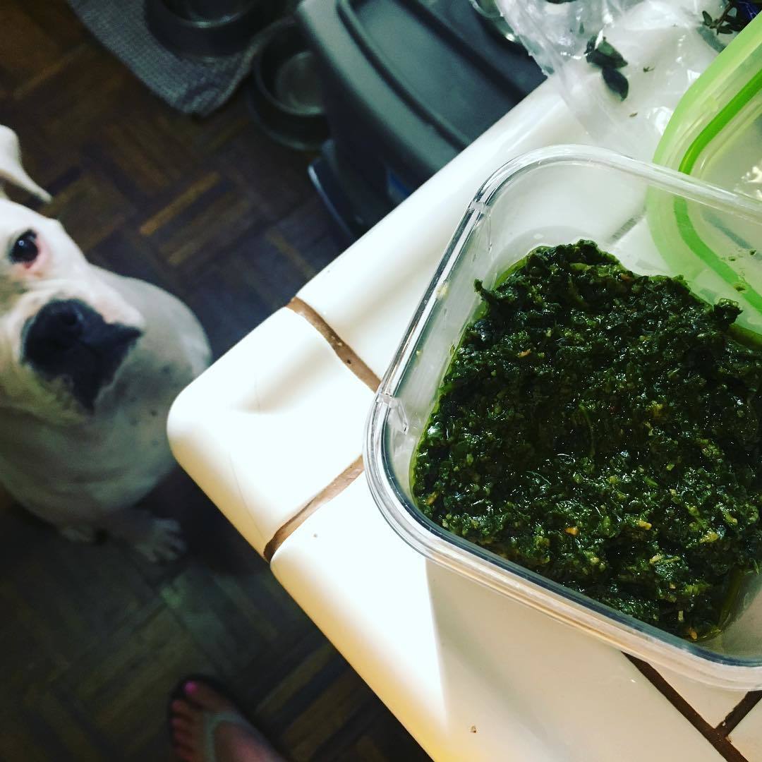 Bridget Phetasy Feet