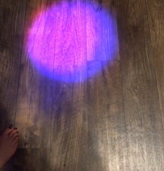 Barbara Dunkelman Feet