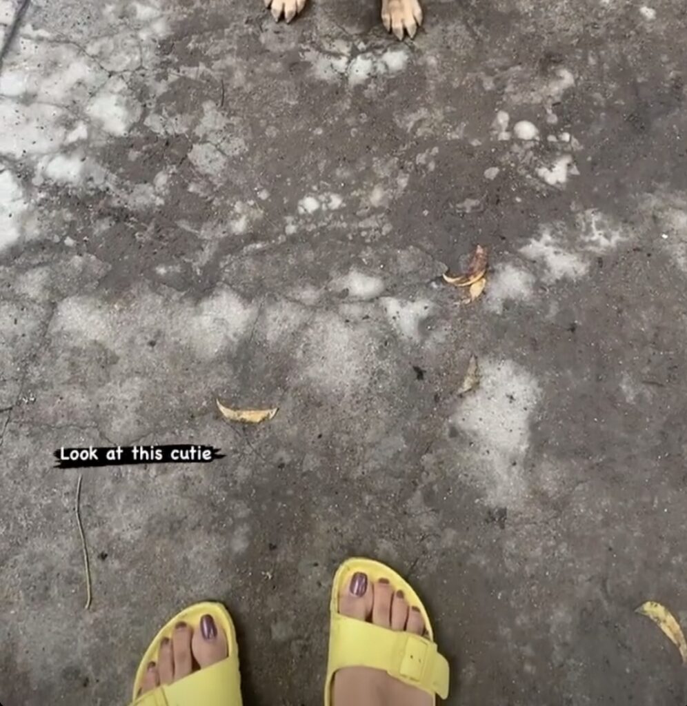 Teju Ashwini Feet