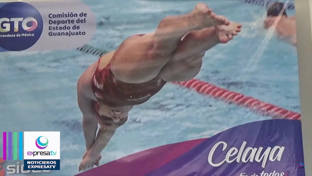 Liliana Ibanez Feet