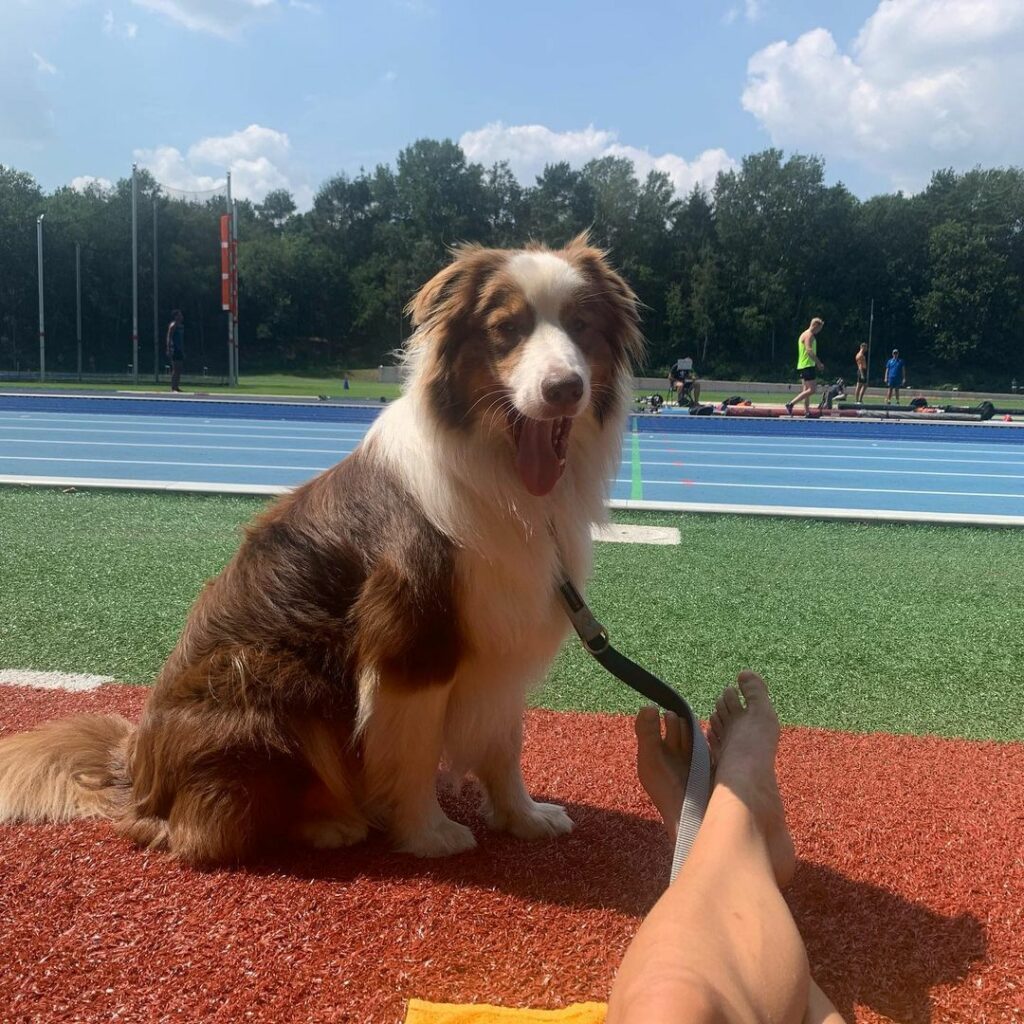 Dafne Schippers Feet