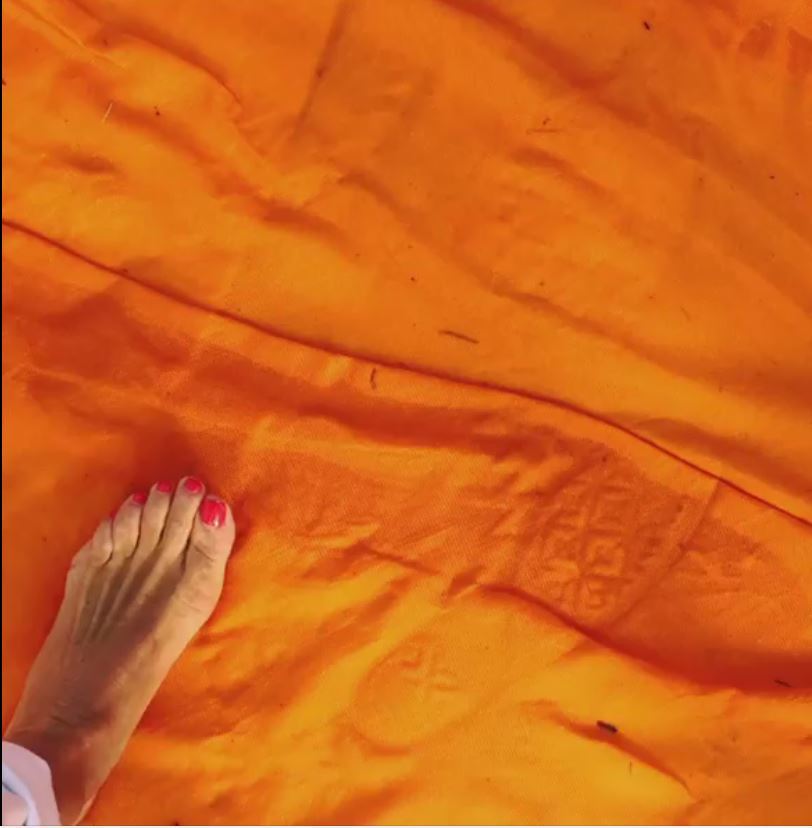 Cristina Parodi Feet