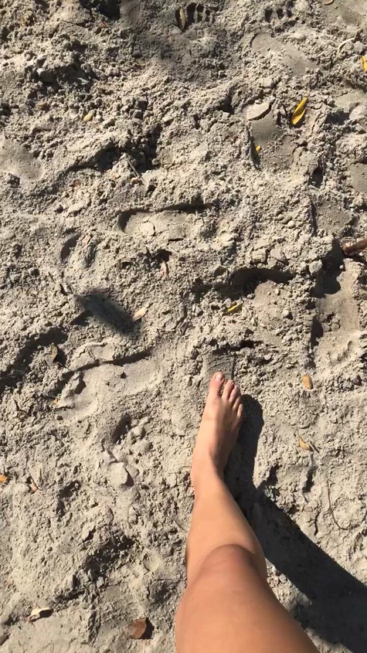 Lisa Marie Koroll Feet