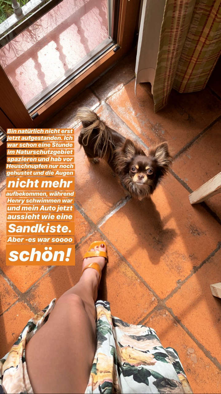 Lisa Marie Koroll Feet