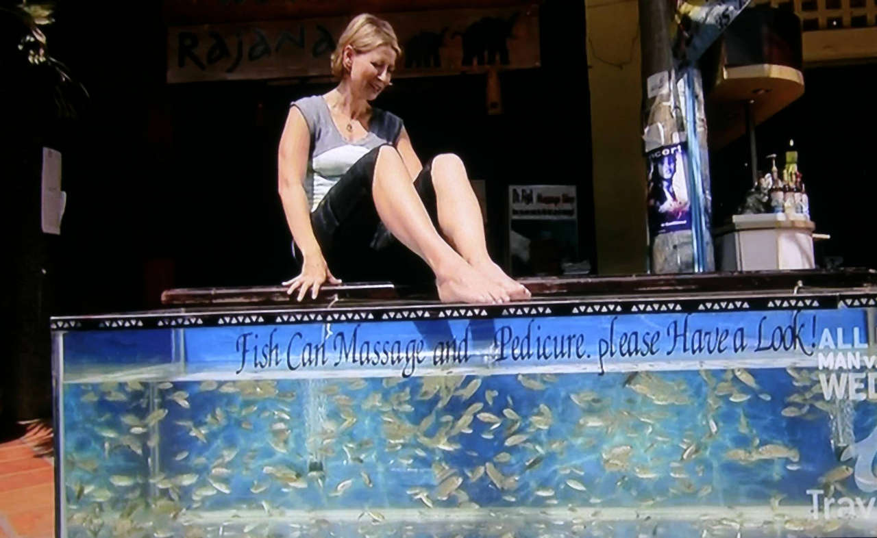 Samantha Brown Feet