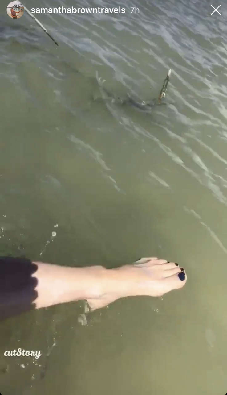 Samantha Brown Feet
