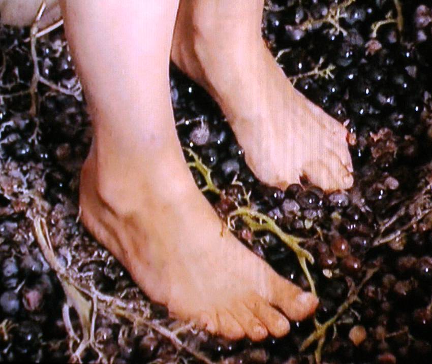 Samantha Brown Feet