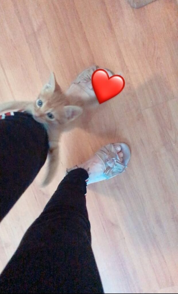 Jeniffer Oliveira Feet (105 photos)