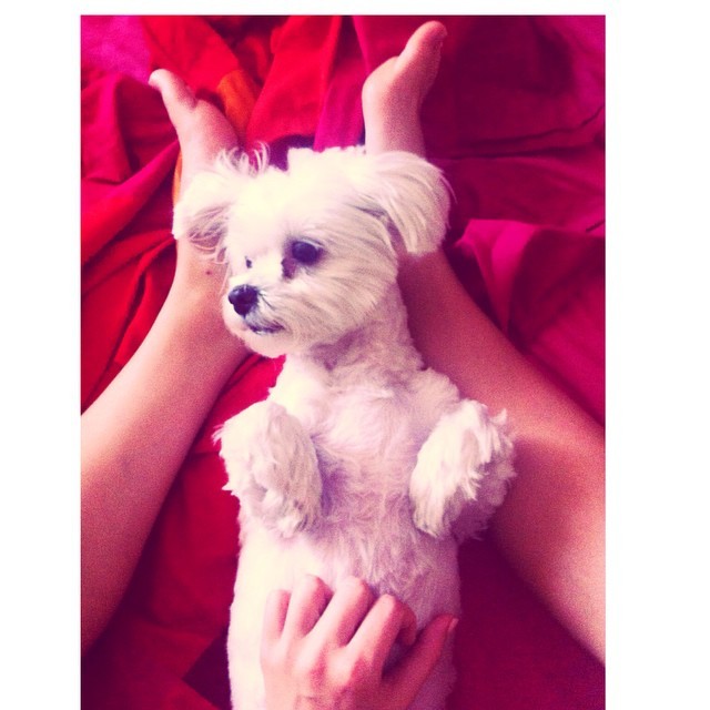 Adriana Torrebejano Feet