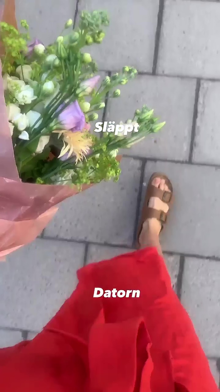 Parisa Amiri Feet