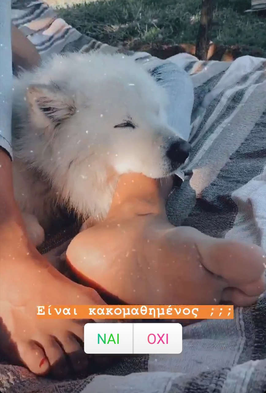 Tonia Skourtanioti Feet