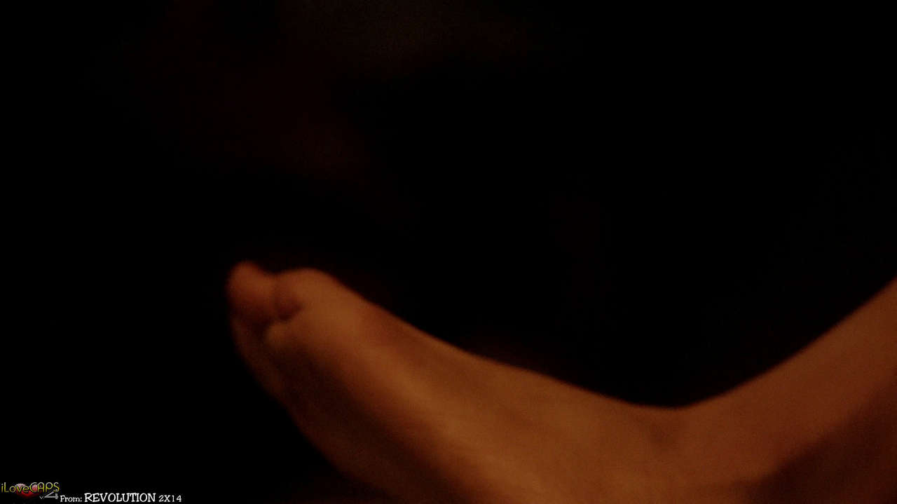 Tracy Spiridakos Feet