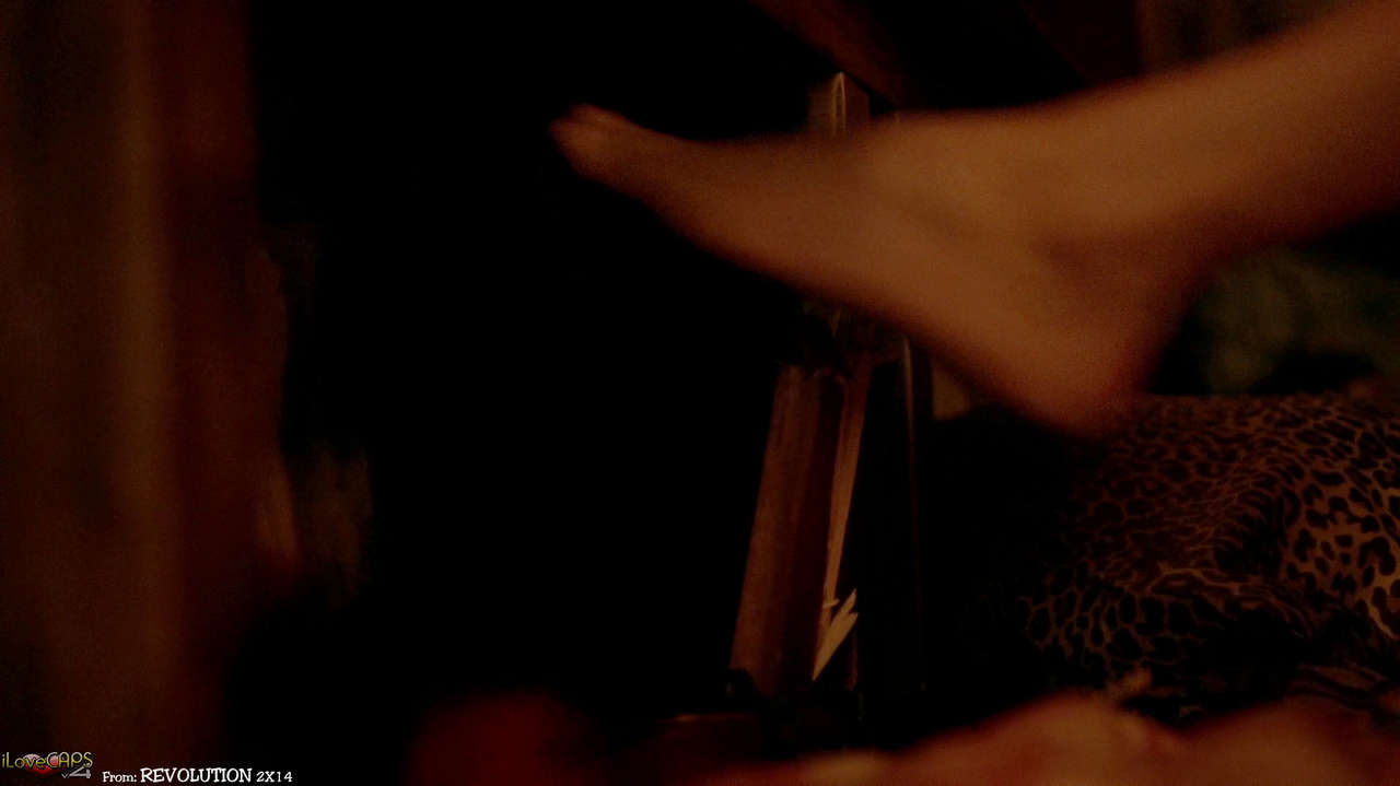 Tracy Spiridakos Feet