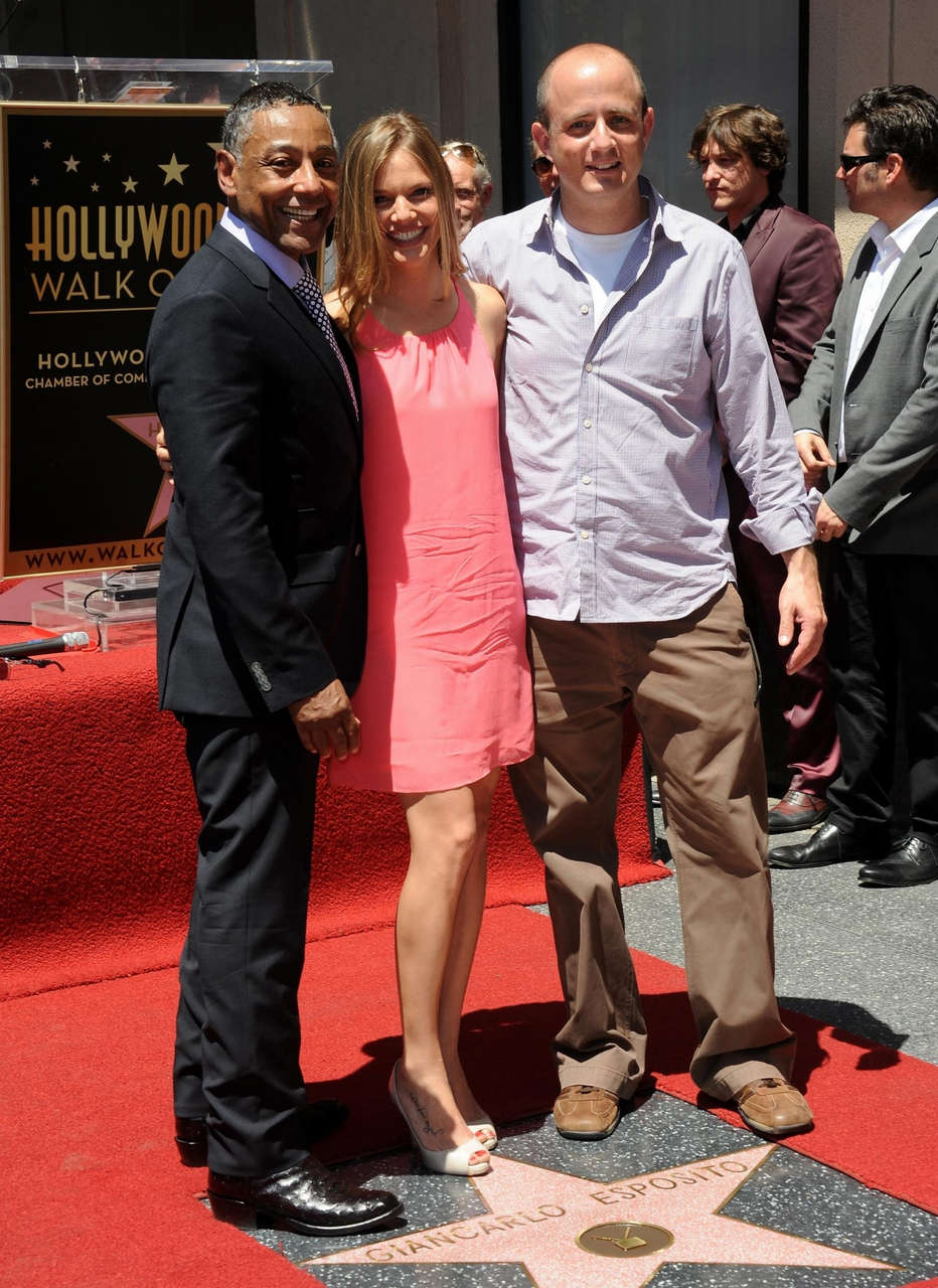 Tracy Spiridakos Feet