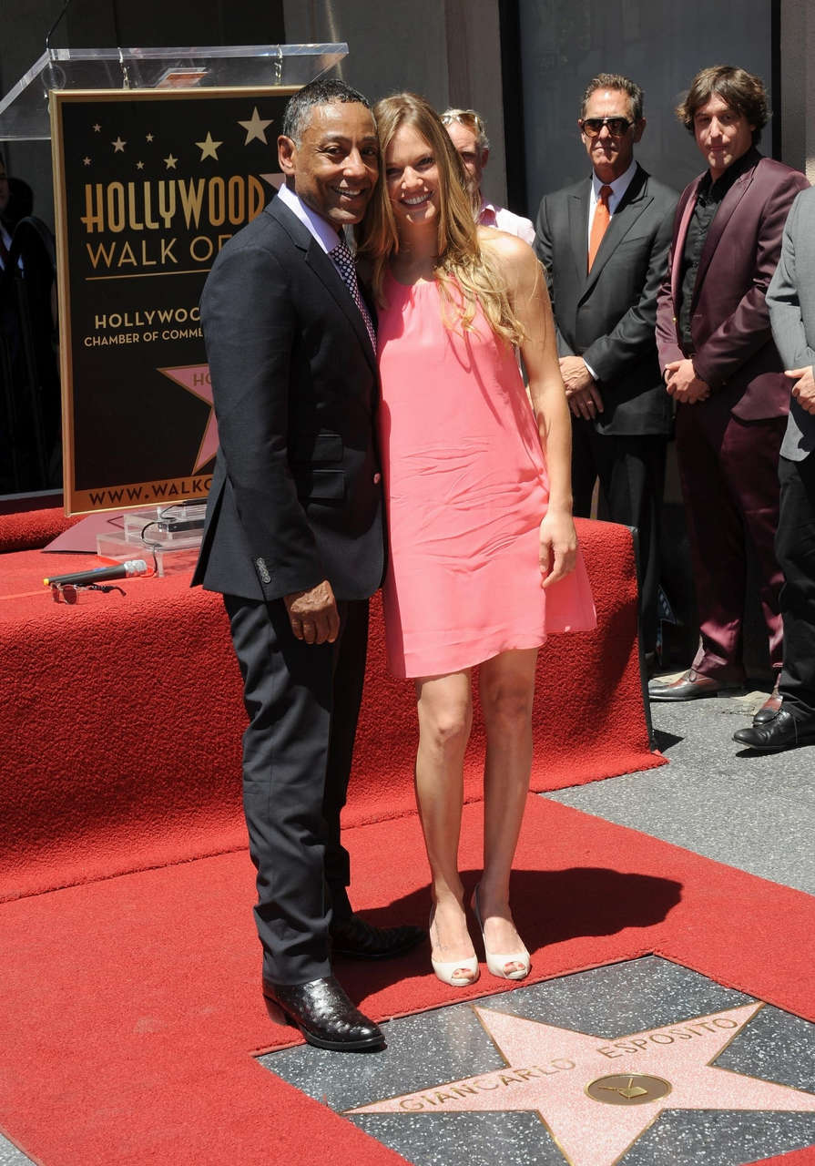 Tracy Spiridakos Feet