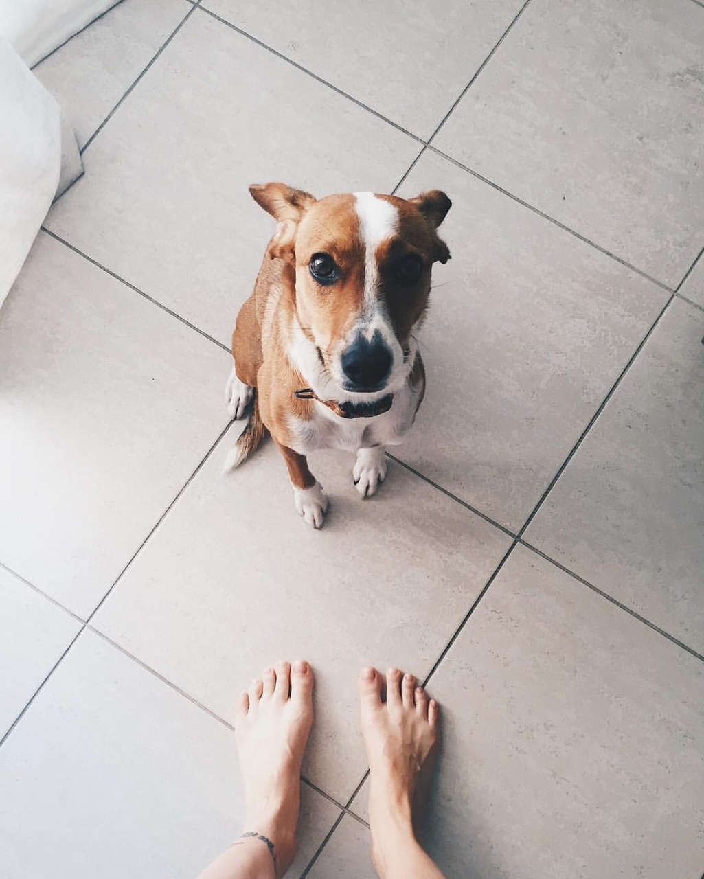 Julia Konrad Viezzer Feet