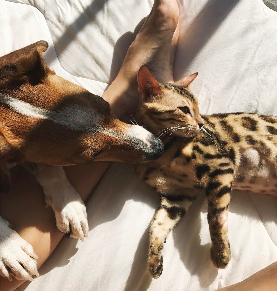 Julia Konrad Viezzer Feet