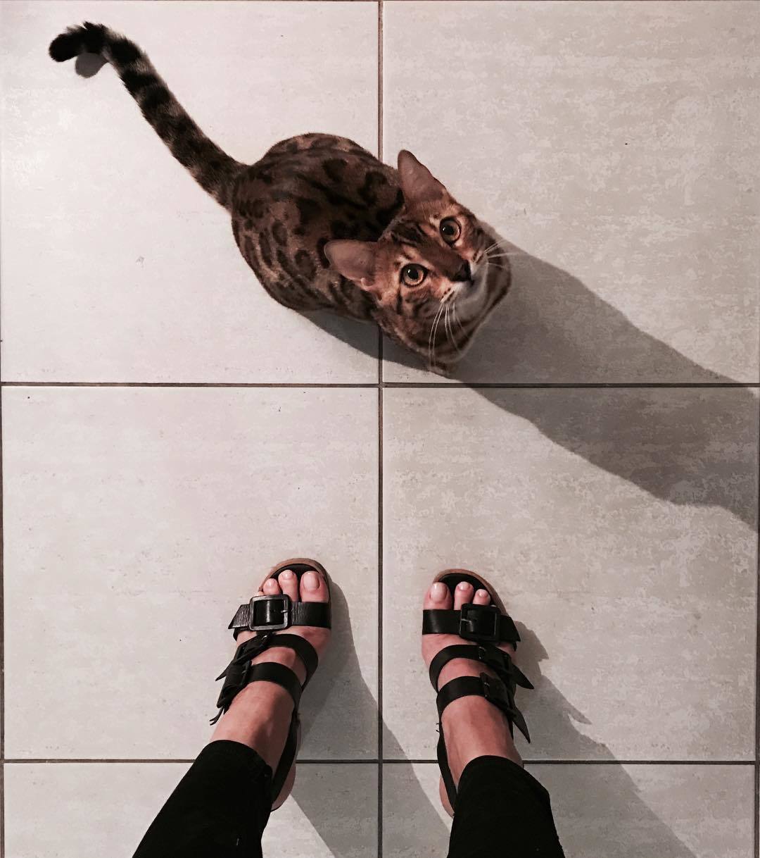 Julia Konrad Viezzer Feet