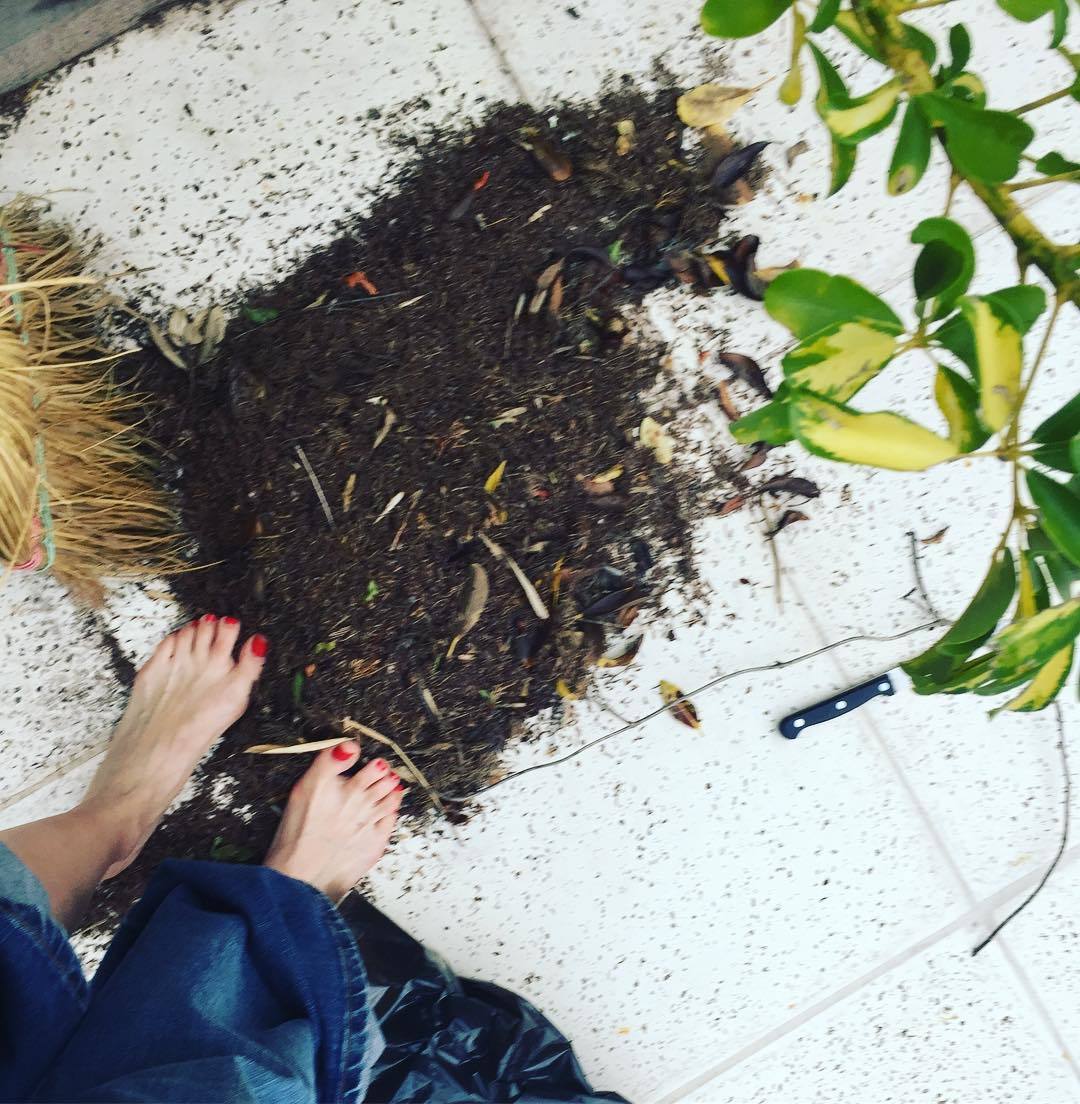 Monica Antonopulos Feet