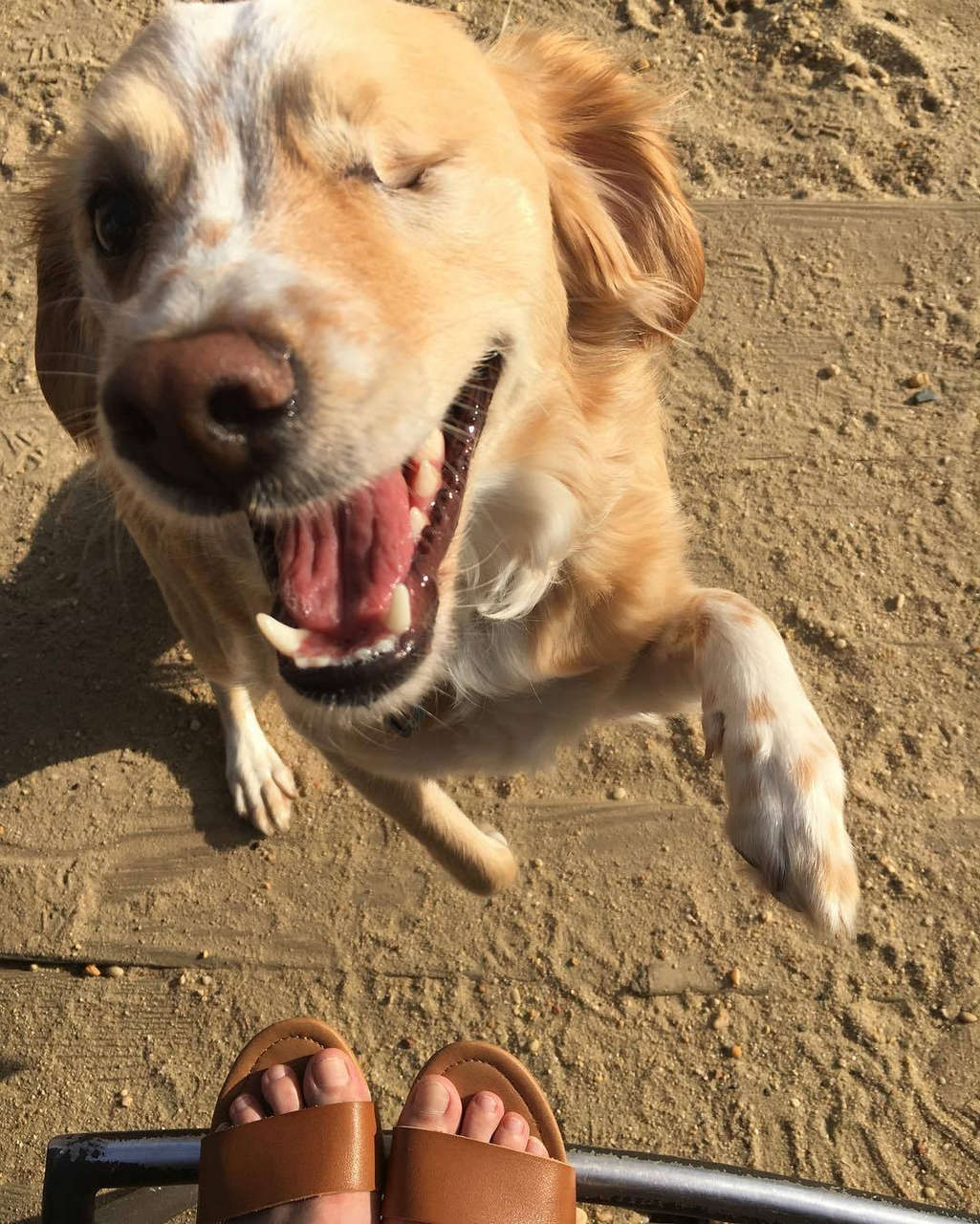 Tamara Chambers Feet