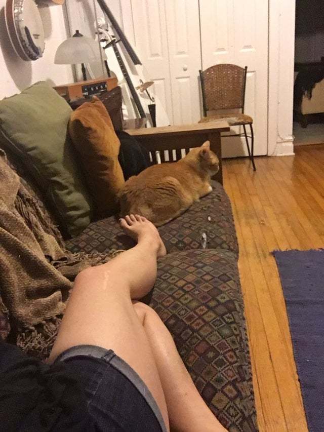 Tamara Chambers Feet