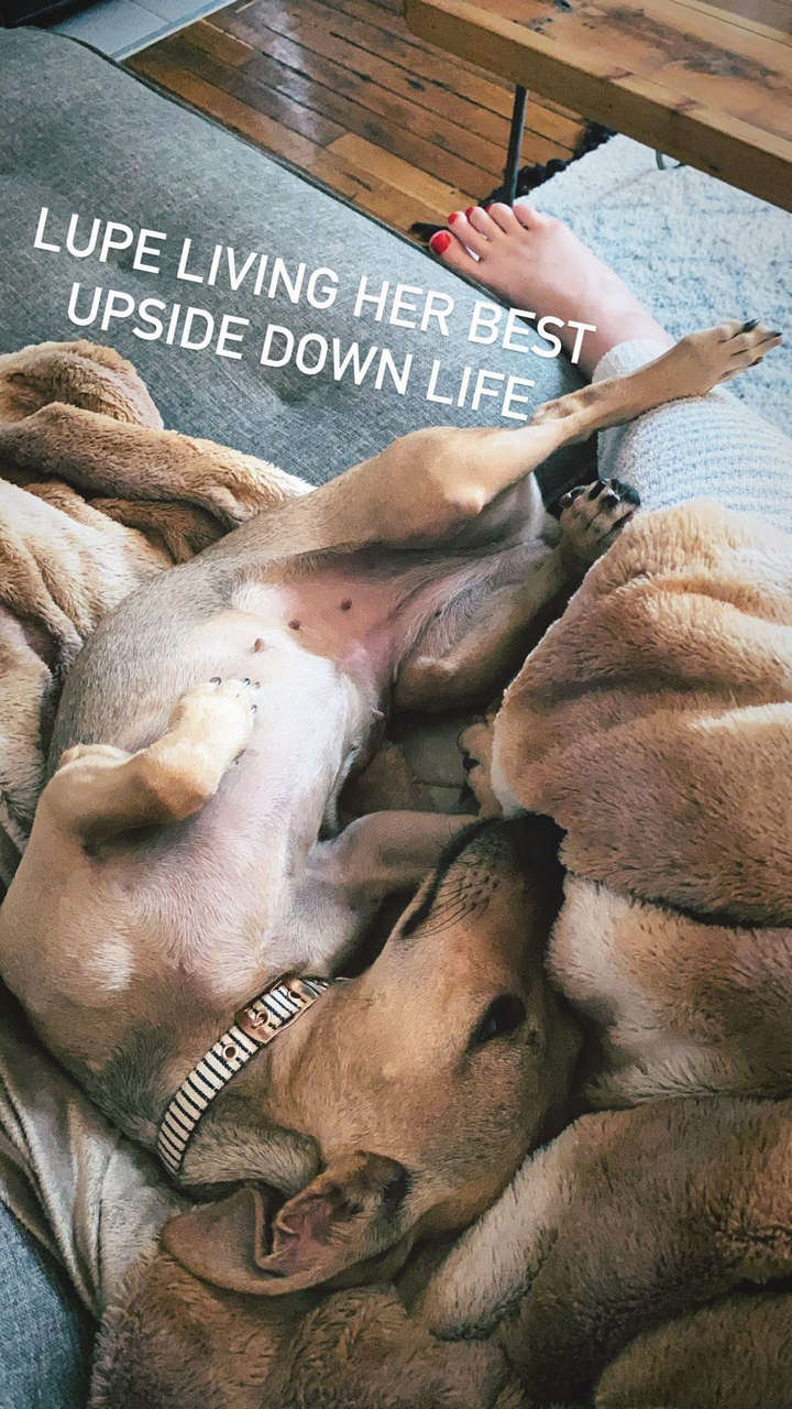 Robyn Adele Anderson Feet