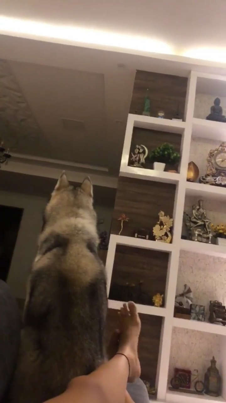 Mimi Chakraborty Feet