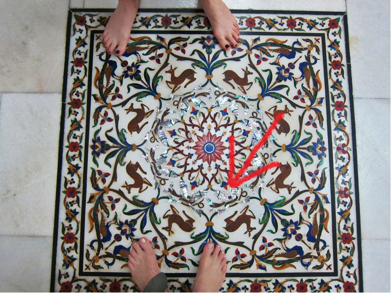 Phoebe Stephens Feet