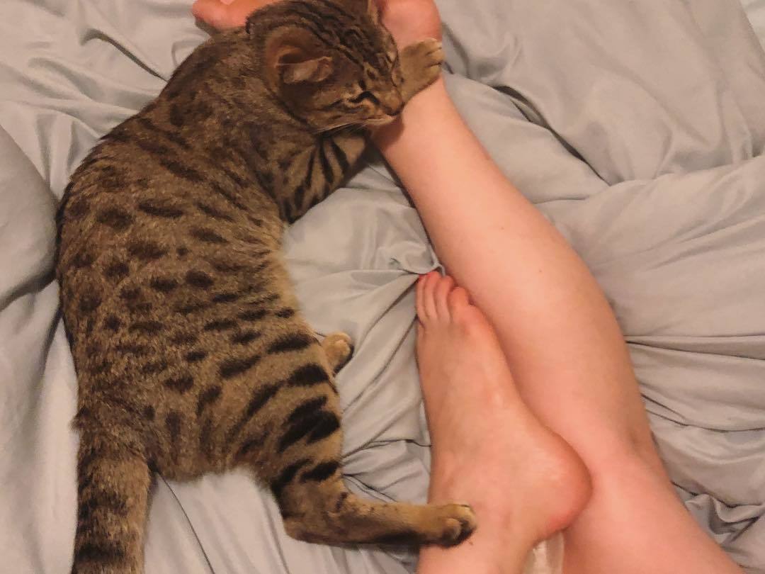 Savannah Daniels Feet