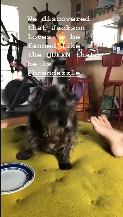 Anna Valenzuela Feet