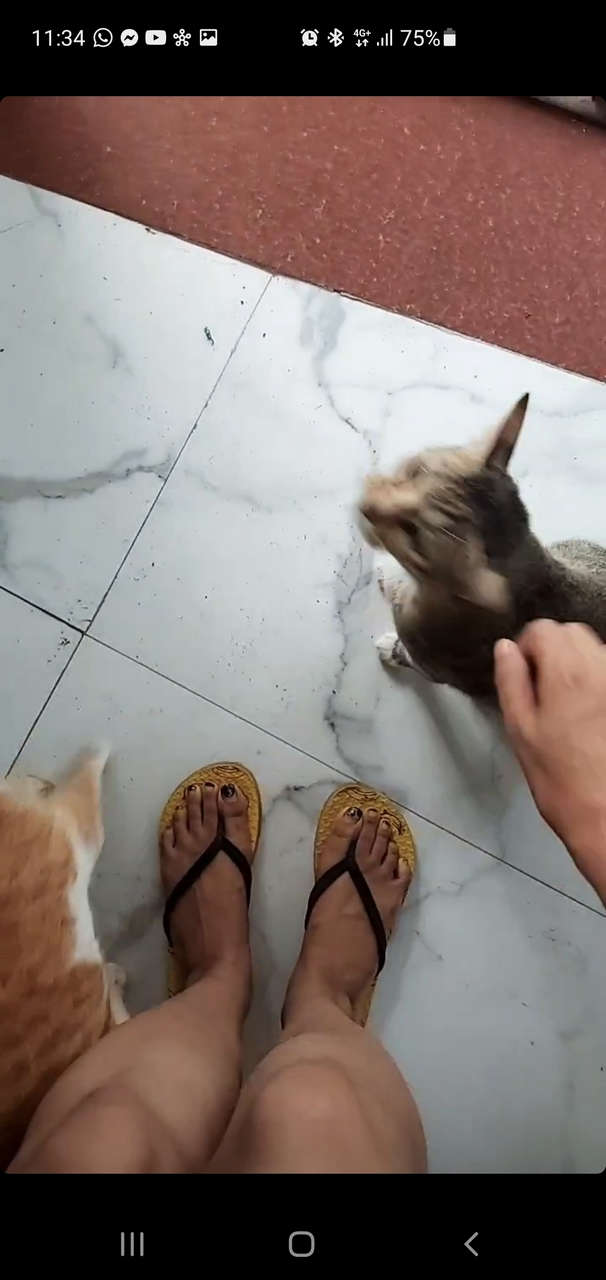 Shivjyoti Rajput Feet