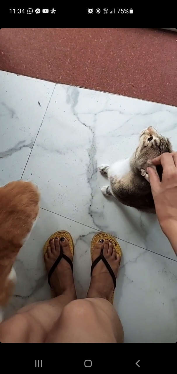 Shivjyoti Rajput Feet