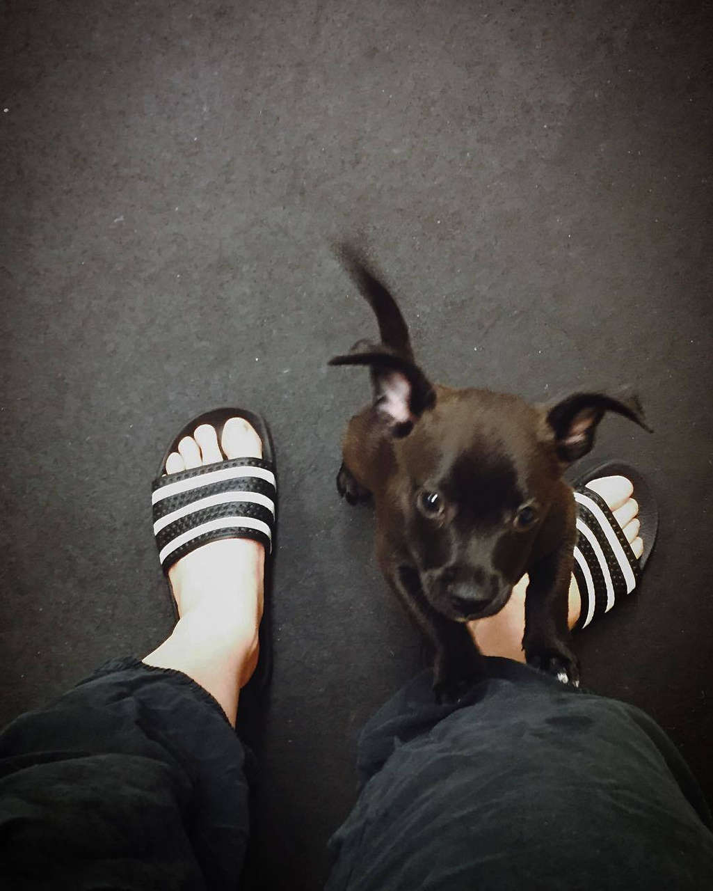 Kathryn Gallagher Feet